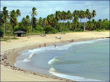 Brazil Beach Property