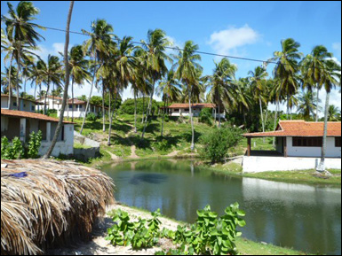 Praia De Caraubas