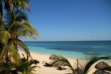 Papaya Hotel & Spa, Antigua
