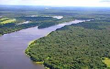 Amazon Land for Sale