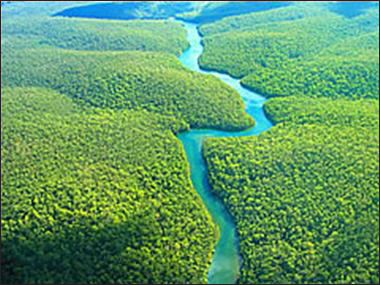 Amazon Land for Sale