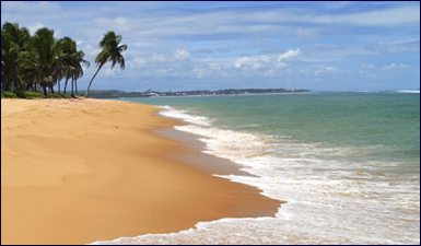 Brazil Beach Resort