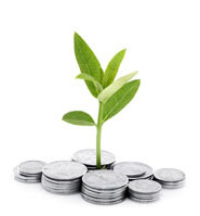 Axiom Coin Plant