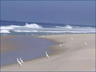 Marica - Oceanfront - Brazil