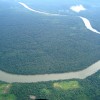 Brazil rainforest for sale