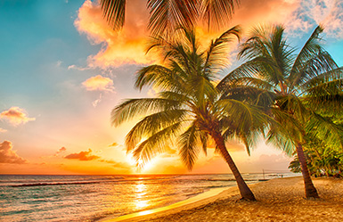Invest Offshore in Barbados